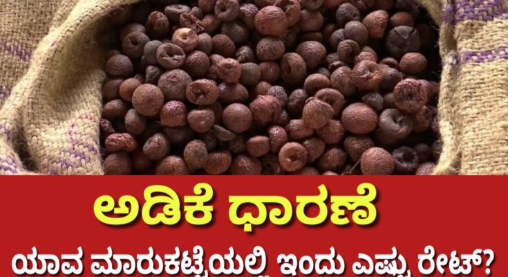 Arecanut market price Karnataka