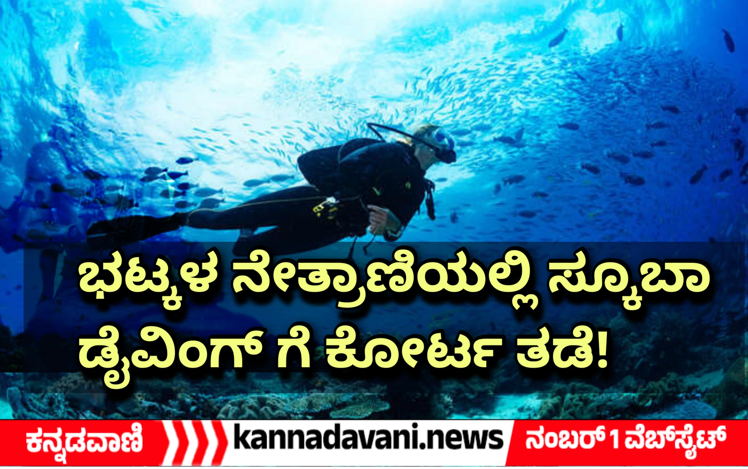 High Court bans scuba diving in Muradeshwar