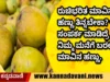 Mango online shopping Mangalore canteen