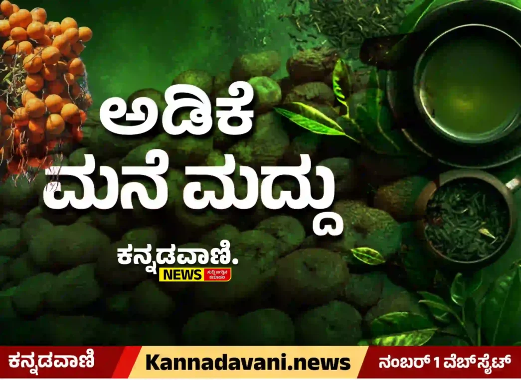 Arecanut medicines use for Ayurvedic