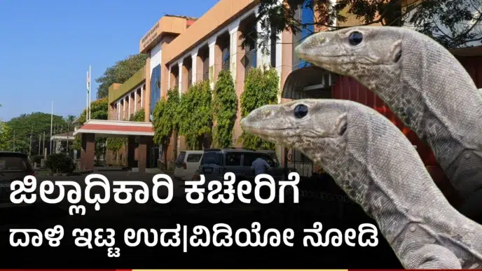 dc office karwar