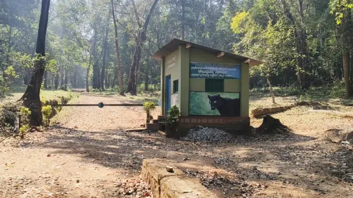 Police and forest department impose restrictions at Sathodi Falls in Uttara Kannada ahead of New Year celebrations amid heavy tourist rush