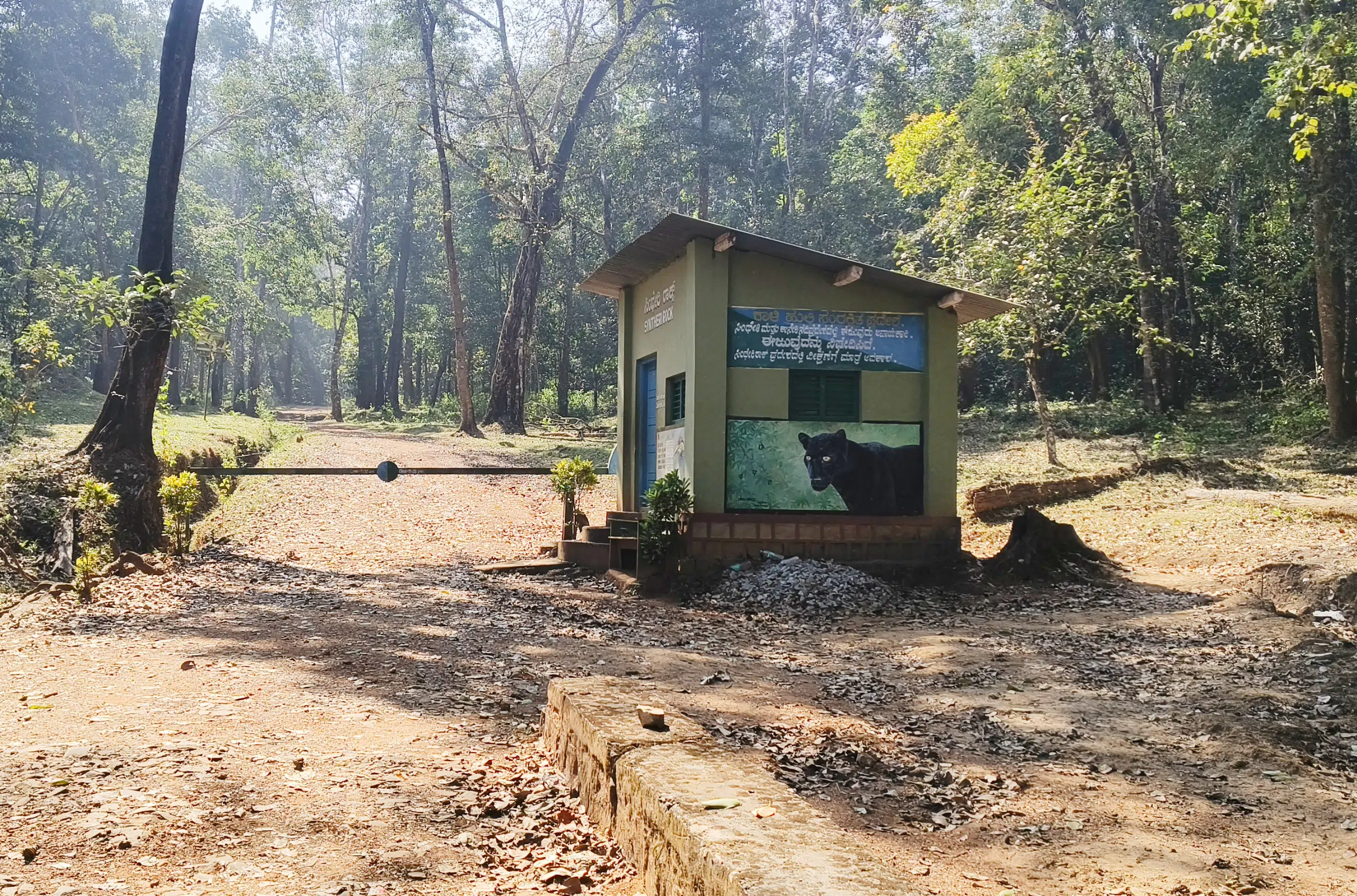Police and forest department impose restrictions at Sathodi Falls in Uttara Kannada ahead of New Year celebrations amid heavy tourist rush
