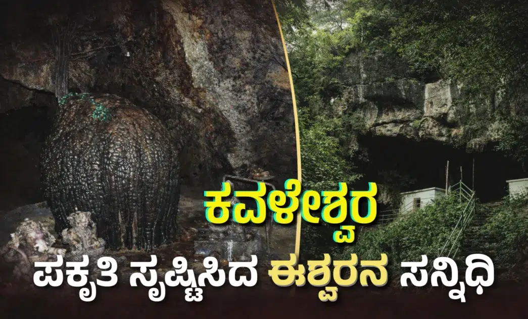 Natural Shiva Linga inside Kavaleshwara Kavala Cave surrounded by limestone formations and dripping water in Dandeli forest