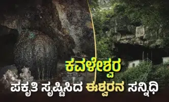 Natural Shiva Linga inside Kavaleshwara Kavala Cave surrounded by limestone formations and dripping water in Dandeli forest