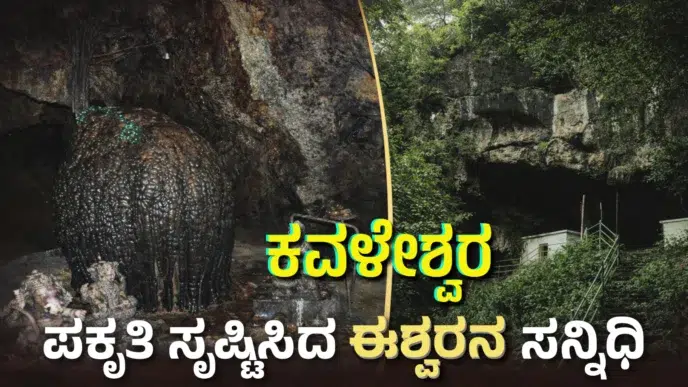 Natural Shiva Linga inside Kavaleshwara Kavala Cave surrounded by limestone formations and dripping water in Dandeli forest