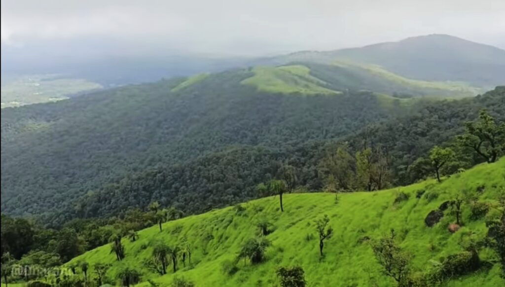 ಯಲ್ಲಾಪುರದ ಹೆಗ್ಗಾರಮನೆ (ಸೂರ್ಯಕಲ್ಯಾಣಿ) ಗುಡ್ಡ 