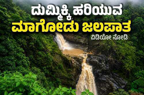 ಅಬ್ಬರದ ಮಳೆಯಿಂದ ಮೈದುಂಬಿ ಎರಡು ಹಂತಗಳಲ್ಲಿ ಧುಮ್ಮಿಕ್ಕಿ ಹರಿಯುತ್ತಿರುವ ಉತ್ತರ ಕನ್ನಡ ಜಿಲ್ಲೆಯ ಯಲ್ಲಾಪುರ ಸಮೀಪದ ಮಾಗೋಡು ಜಲಪಾತದ ಮನಮೋಹಕ ದೃಶ್ಯ.