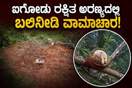 ಸಿದ್ದಾಪುರ ಐಗೋಡು ರಕ್ಷಿತ ಅರಣ್ಯದಲ್ಲಿ ಗುಂಡಿ ತೋಡಿ ಮಡಿಕೆ, ಅಕ್ಕಿ, ಭತ್ತ ಮತ್ತು ಅನ್ನ ಇಟ್ಟಿರುವ ಸ್ಥಳ