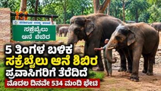 ಶಿವಮೊಗ್ಗದ ಸಕ್ರೆಬೈಲು ಆನೆ ಶಿಬಿರ ಐದು ತಿಂಗಳ ಬಳಿಕ ಪ್ರವಾಸಿಗರಿಗೆ ಪುನರಾರಂಭ
