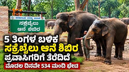 ಶಿವಮೊಗ್ಗದ ಸಕ್ರೆಬೈಲು ಆನೆ ಶಿಬಿರ ಐದು ತಿಂಗಳ ಬಳಿಕ ಪ್ರವಾಸಿಗರಿಗೆ ಪುನರಾರಂಭ