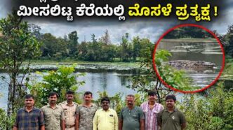 large crocodile spotted in Jodi Lake reserved for Ganapati idol immersion in Yallapur.”