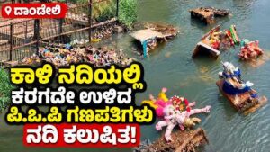 POP Ganapati idols remain undissolved in Kali River at Dandeli, causing water pollution