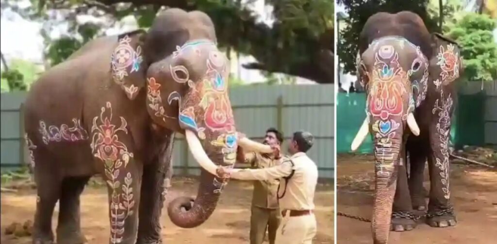 Shivamogga dashara | ಜಂಬೂಸವಾರಿ ನಡುವೆ ದಿಕ್ಕಾಪಾಲಾಗಿ ಓಡಿದ ಆನೆ -ಕೆಳಕ್ಕೆ ಬಿದ್ದ ಬೆಳ್ಳಿ ಅಂಬಾರಿ 4 IMG 20261021 180950
