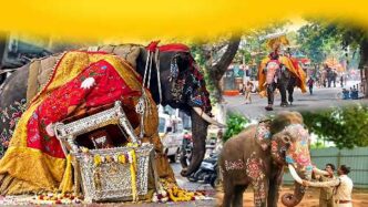 Shivamogga Dasara: ಸೋಮಣ್ಣ ಆನೆ ಓಡಾಟ, ಕೆಳಕ್ಕೆ ಬಿದ್ದ ಬೆಳ್ಳಿ ಅಂಬಾರಿ